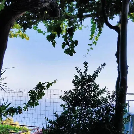 La Vigna 3*